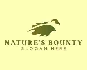 Natural Oak Duck logo design