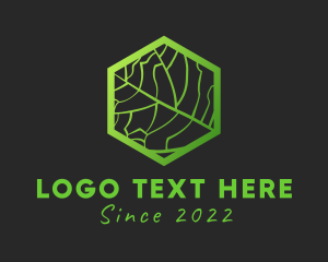 Bio - Hexagon Leaf Veins logo design