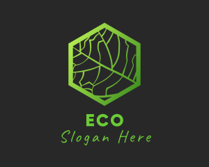 Hexagon Leaf Veins Logo