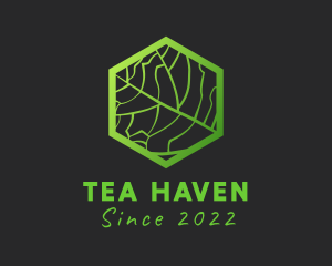 Hexagon Leaf Veins logo design