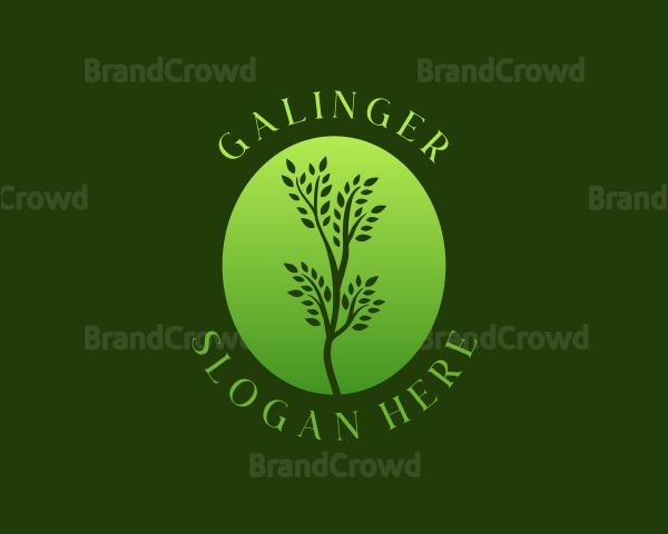 Simple Organic Plant Logo