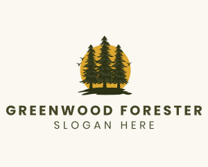 Tree Forest Sunrise logo design