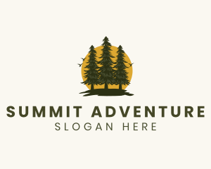 Climbing - Tree Forest Sunrise logo design