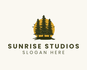 Tree Forest Sunrise logo design