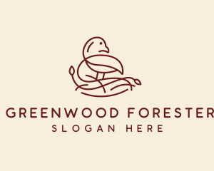 Forest Bird Nest  logo design