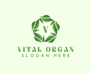 Natural Herbal Leaves logo design