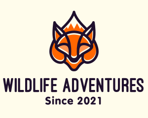 Wild Fox Mountain logo design