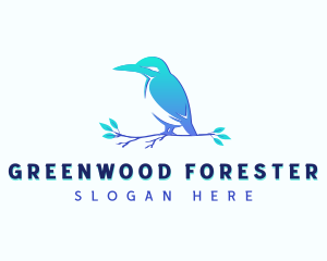 Kingfisher Bird Animal logo design