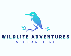 Kingfisher Bird Animal logo design