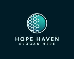 Hexagon International Globe Logo