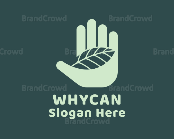 Botanical Leaf Hand Logo