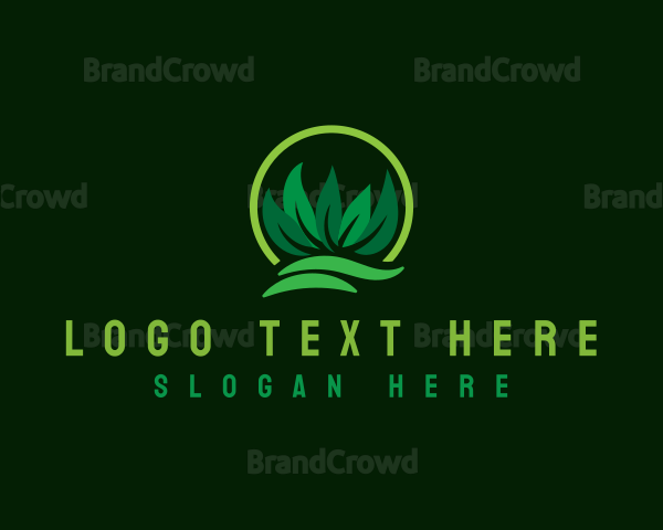 Lawn Grass Leaves Logo