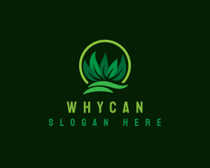 Lawn Grass Leaves Logo