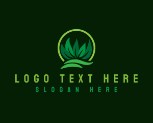 Lawn Grass Leaves Logo