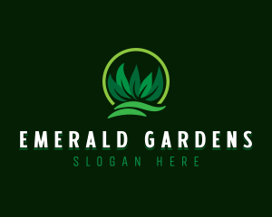 Lawn Grass Leaves logo design