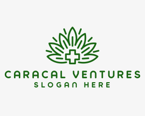 Medical Marijuana Plant logo design