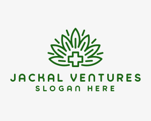 Medical Marijuana Plant logo design