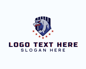 United States - Stars Eagle Shield logo design