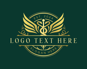 Doctor - Hospital Caduceus Health logo design