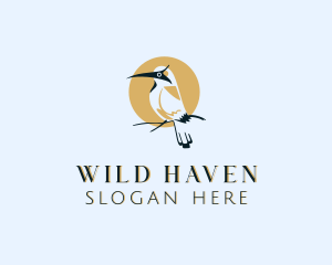 Bird Wildlife Safari logo design