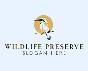 Bird Wildlife Safari logo design