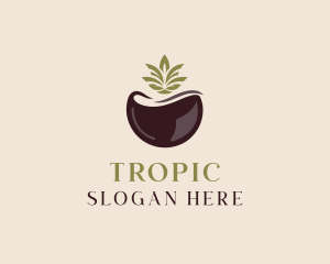 Healthy Organic Coconut logo design