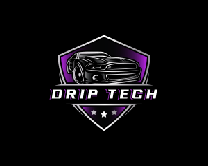 Luxury Car Detailing logo design