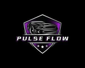 Luxury Car Detailing logo design