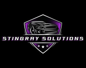 Luxury Car Detailing logo design