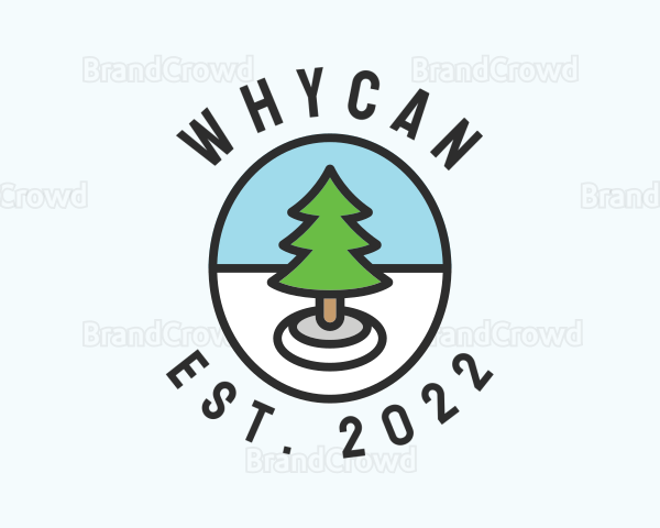 Winter Pine Tree Logo
