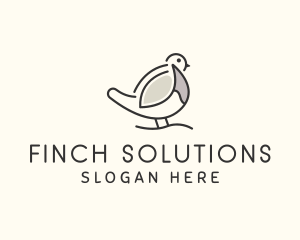 Wild Robin Bird logo design