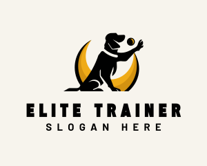 Pet Dog Training logo design