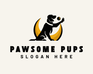 Pet Dog Training logo design