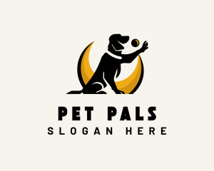 Pet Dog Training logo design