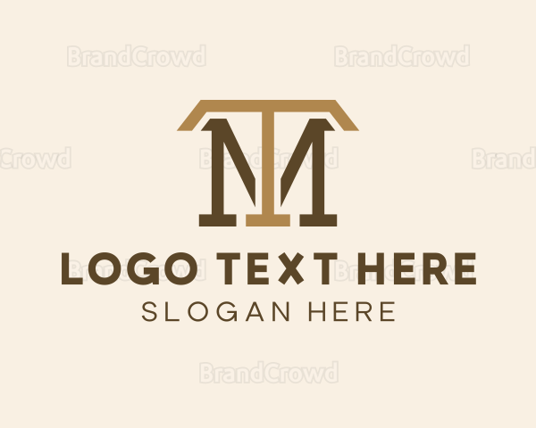 Modern Business Firm Letter TM Logo