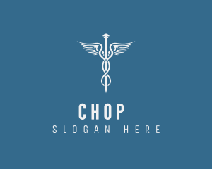 Hospital - Hospital Medical Doctor logo design