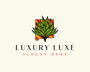 New Mexico Agave Plant Logo