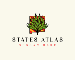 New Mexico Agave Plant logo design