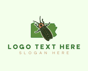 Geographic - Pennsylvania Firefly Bug logo design