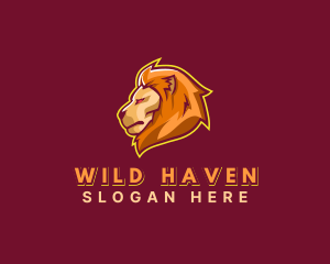 Lion Wild Animal logo design