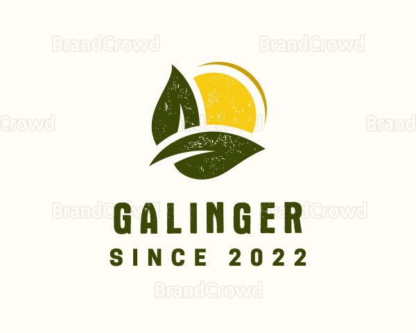 Sun Sprout Garden Logo