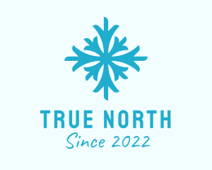 Blue Cold Snowflake  logo design