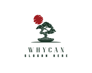  Asian Bonsai Tree Logo