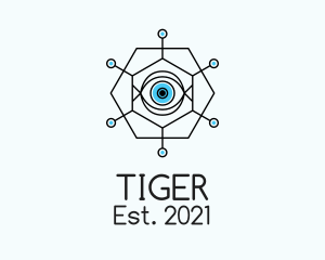 Optometrist - Linear Hexagon Eye logo design
