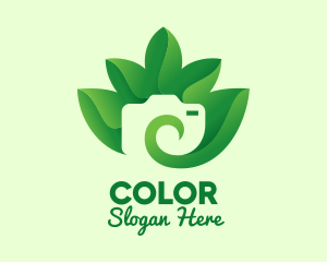 Green Eco Leaves Camera logo design