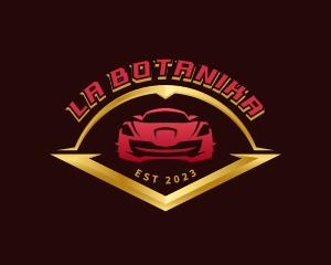  Racing Car Mechanic Logo
