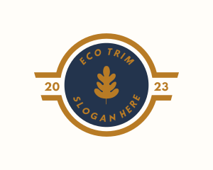 Eco Nature Leaf logo design