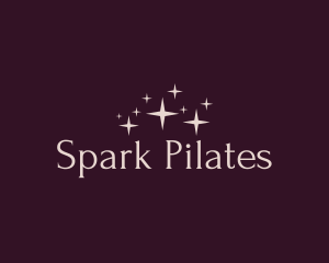 Sparkly Shiny Jewelry logo design