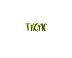 Tropical Summer Resort logo design