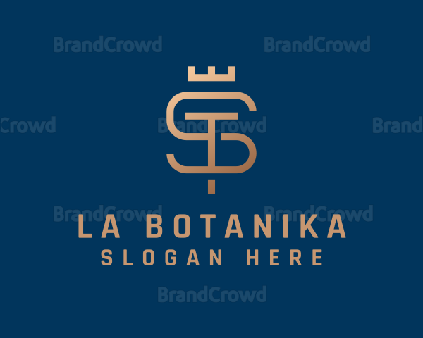 Elegant Crown Leter ST Logo